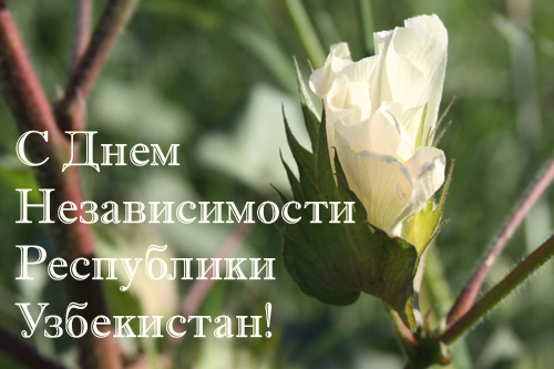 � ����������!